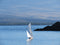 T59 Gaff Topsail Sloop Kit by Tippecanoe Boats
