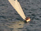 T59 Gaff Topsail Sloop Kit by Tippecanoe Boats