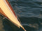T59 Gaff Topsail Sloop Kit by Tippecanoe Boats