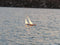 T59 Gaff Topsail Sloop Kit by Tippecanoe Boats