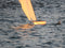 T59 Gaff Topsail Sloop Kit by Tippecanoe Boats