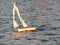 T59 Gaff Topsail Sloop Kit by Tippecanoe Boats