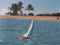 Wooden Toy Sailboat Sailing in the wind