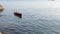 RC Boat: Stormy 45 Steam or Electric