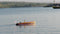 RC Boat: Stormy 45 Steam or Electric