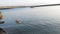 RC Boat: Stormy 45 Steam or Electric