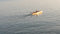 RC Boat: Stormy 45 Steam or Electric