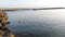 RC Boat: Stormy 45 Steam or Electric