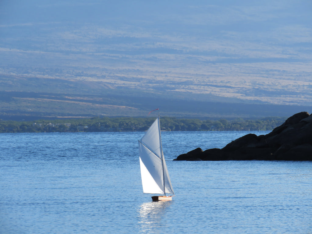 T59 Gaff Topsail Sloop Kit by Tippecanoe Boats