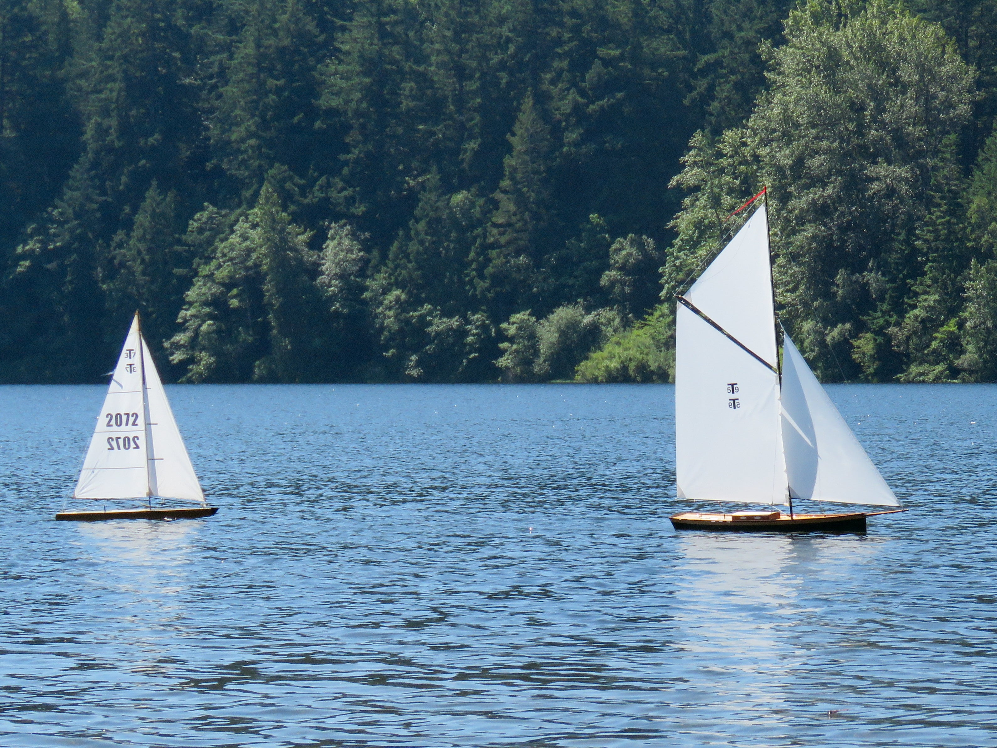 T59 Gaff Topsail Sloop Kit by Tippecanoe Boats