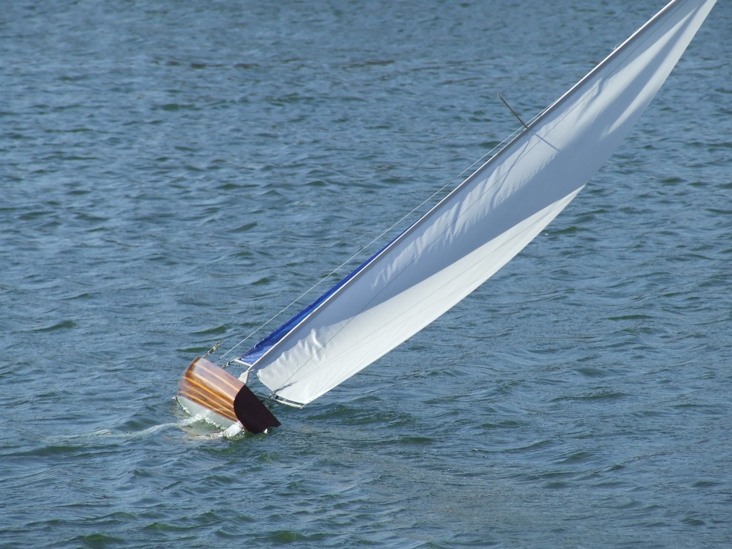 T50 Radio Controlled Racing Sloop