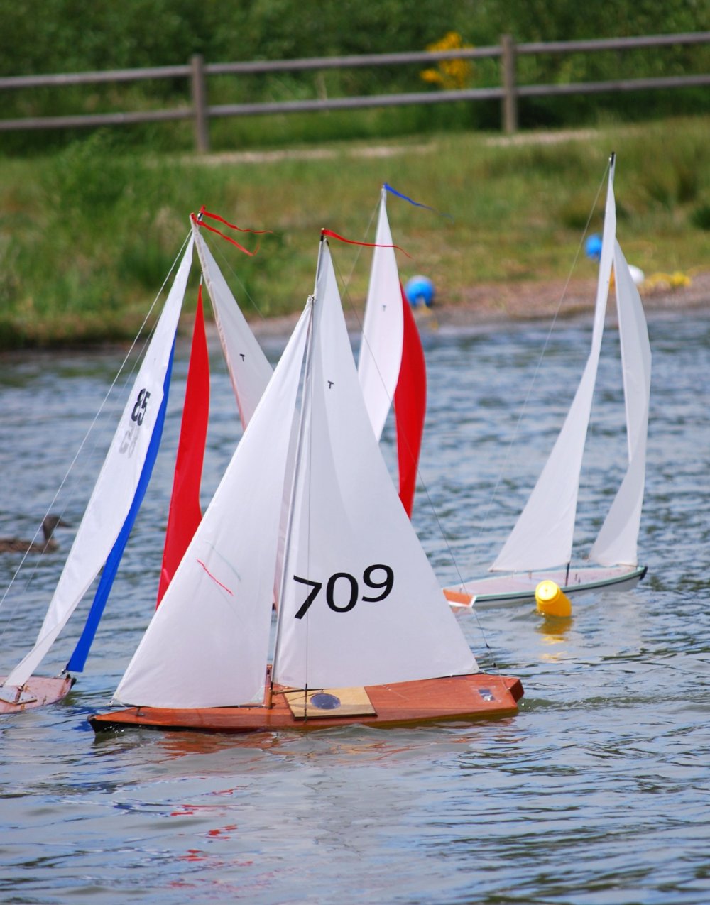 RC Sailboat Racing: A group of Model Sailboats at a Remote Control Boat Race
