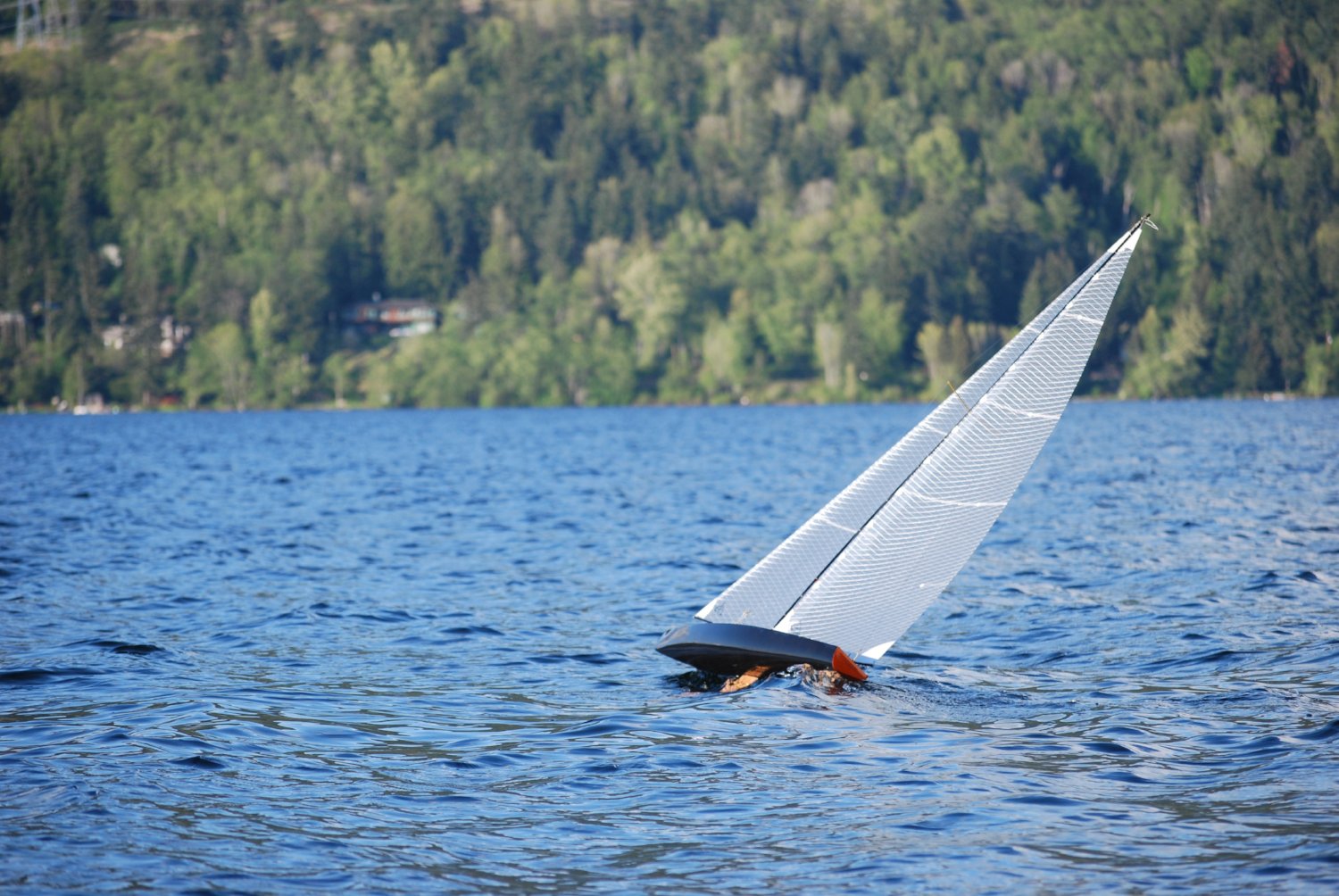 T50 CARBON FIBER Radio Controlled Racing Sloop