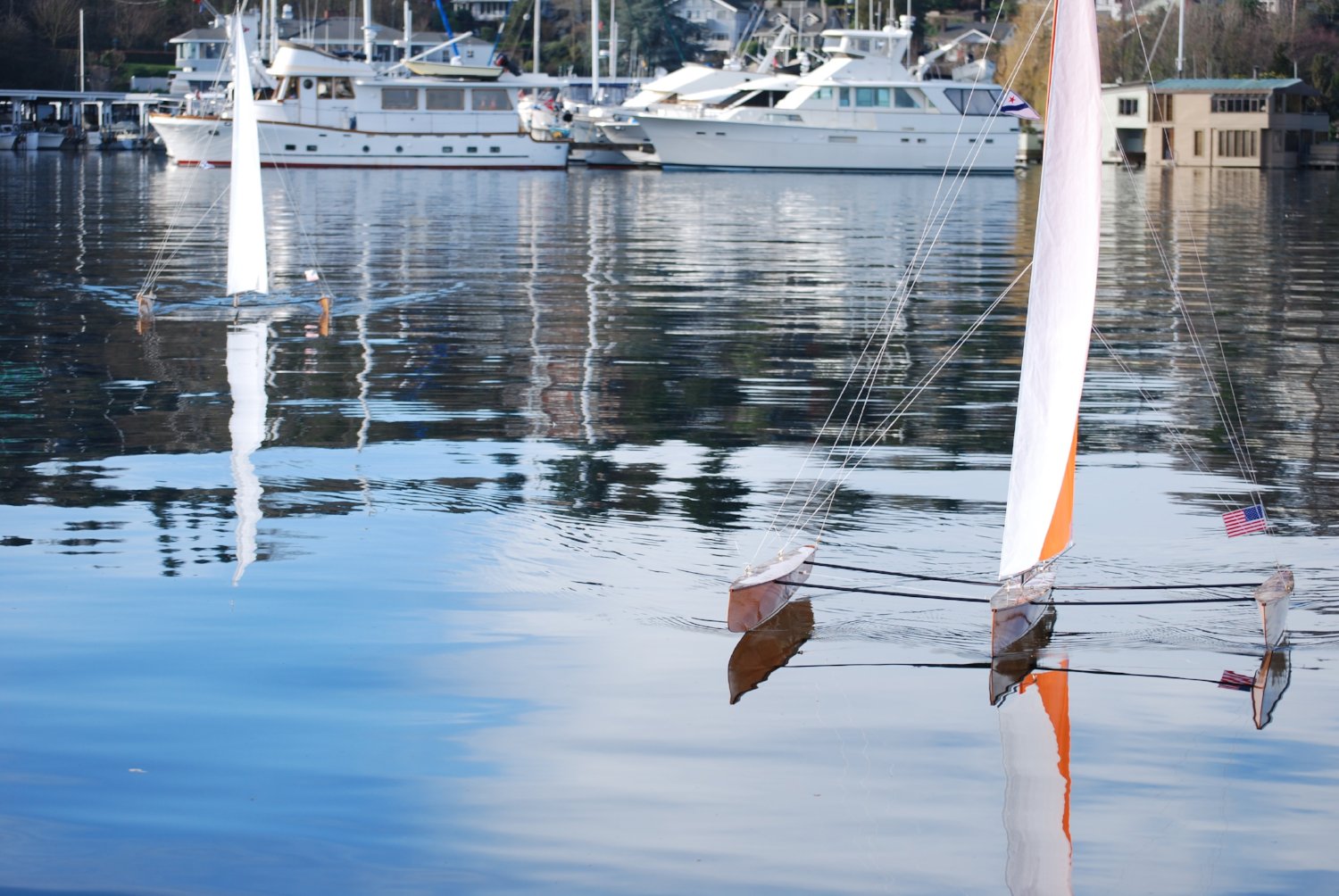 T50 RC Trimaran Kit | Fastest Wooden Model Sailboat