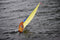 RC Sailboat: T37 Remote Control Sailboat with the Heavy Air Rig in Rough Winds