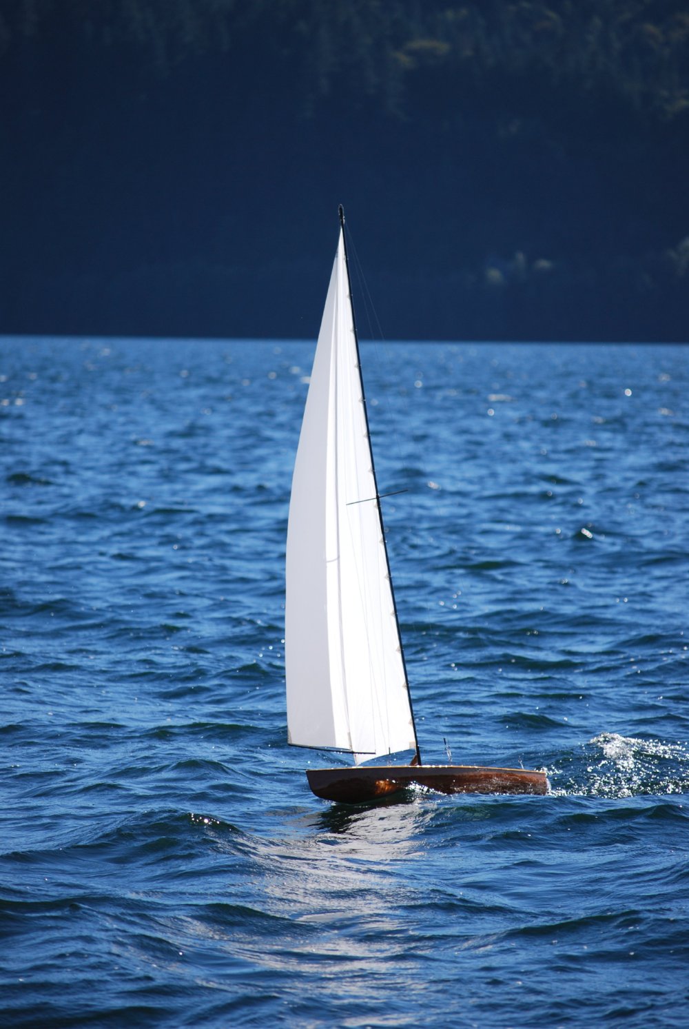 T65 Radio Controlled Racing Sloop