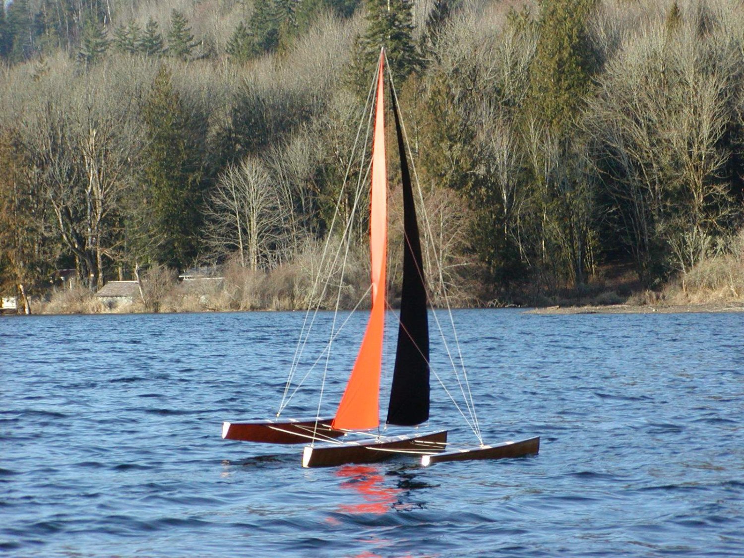 T50 RC Trimaran Kit | Fastest Wooden Model Sailboat