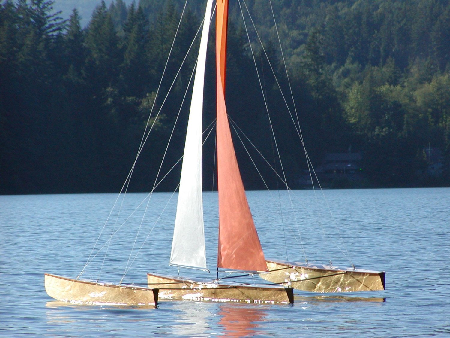 T50 RC Trimaran Kit | Fastest Wooden Model Sailboat