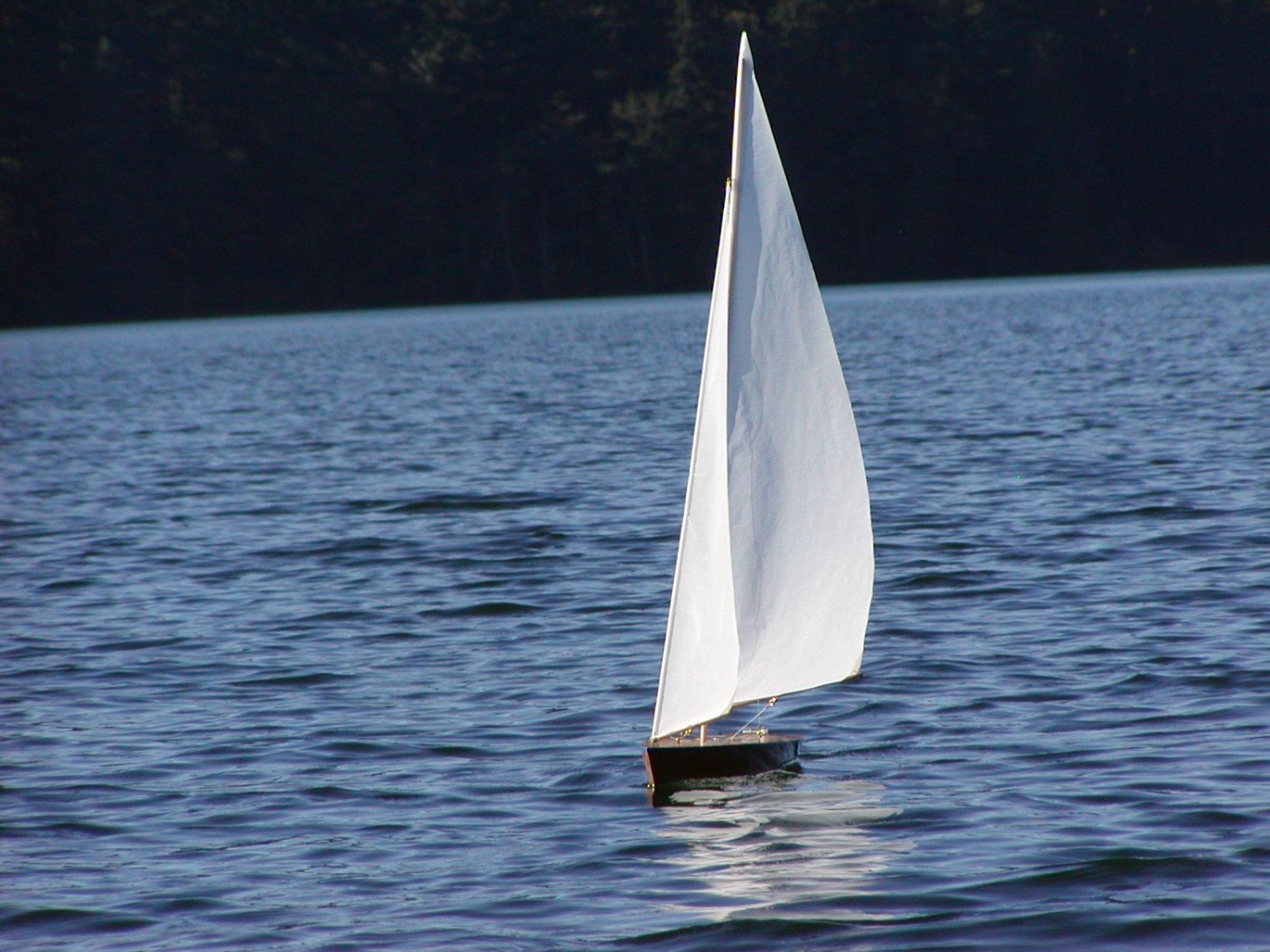 Model Sailboat Sailing: T27 RC Sailboat Sailing Beautifully