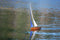 Wooden Model Sailboat: Tippecanoe Boats T27 RC Sailboat - Model Boat Sailing on Calm water