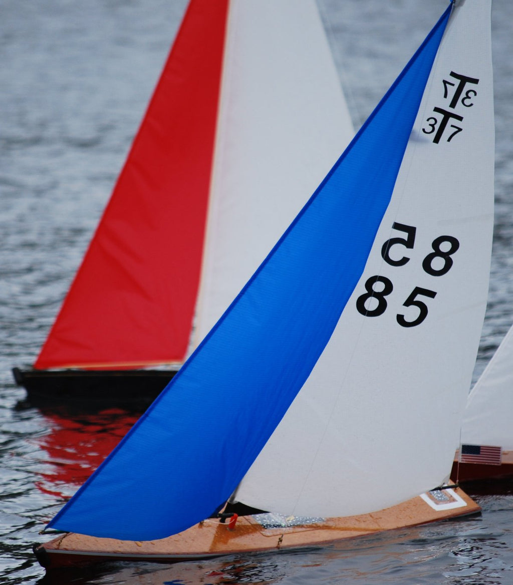RC Sailboat: Model Boats Racing in the Wind